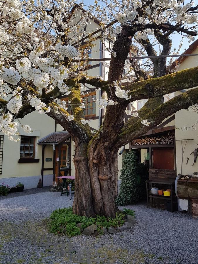 Ferienwohnung Zum-Alten-Kirschbaum Limburg an der Lahn Exterior photo